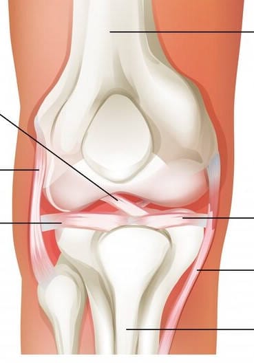 poškodbe stranskih vezi kolena